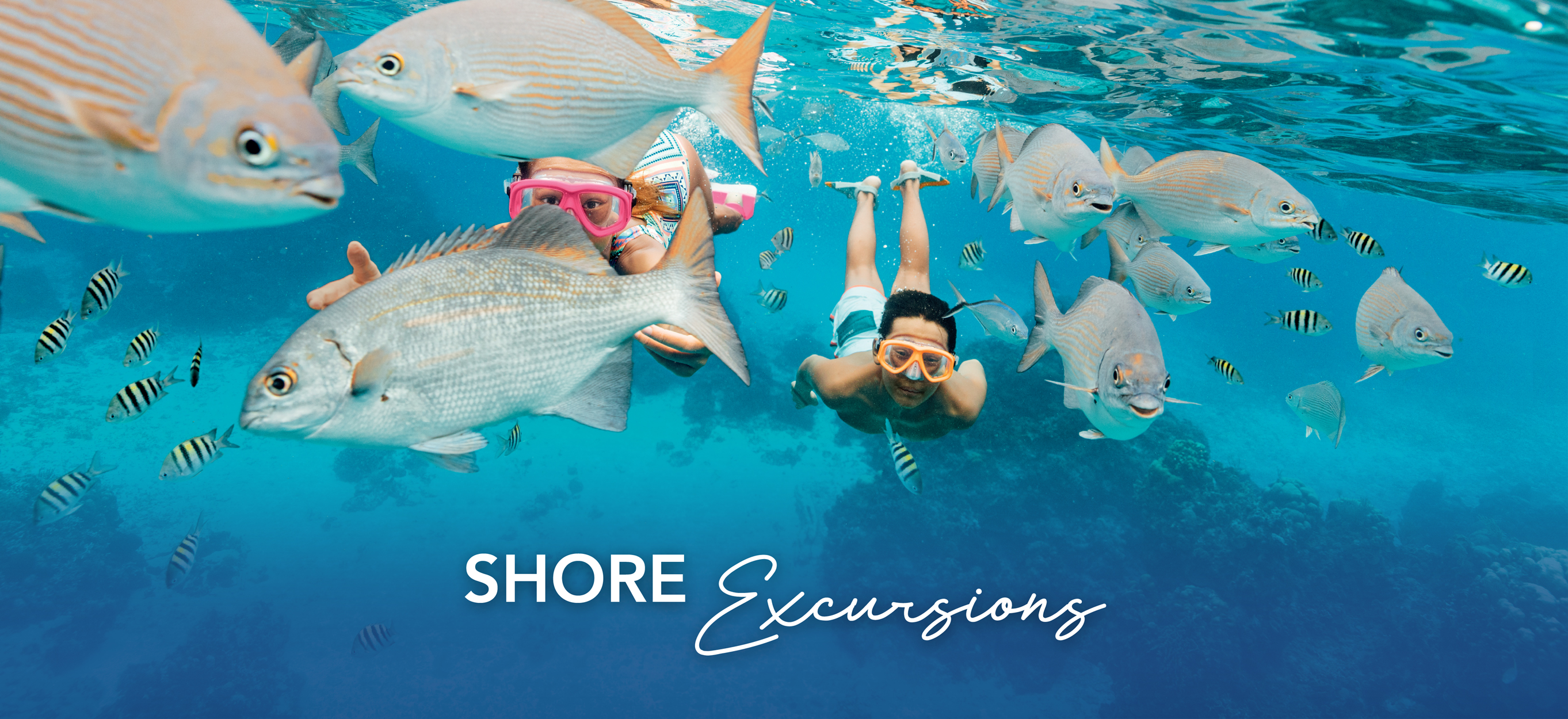 Shore excursions
